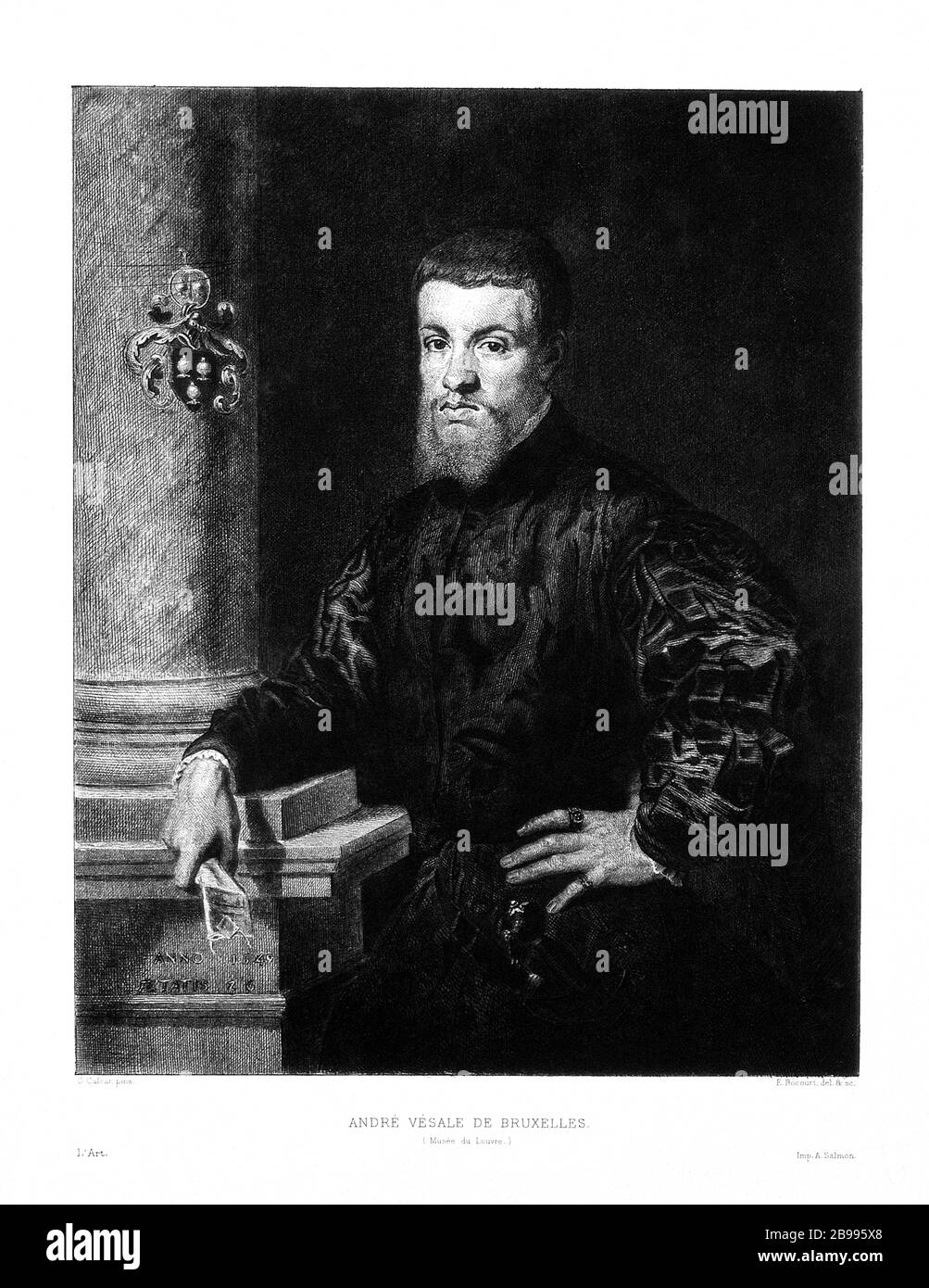 1549, BELGIO :ANDREAS VESALIUS (1514 - 1564), anatomista fiammingo, alias Andreas van Wesel . Autor di De Humani Corporis Fabrica Libri Septem (sul tessuto del corpo umano). Ritratto di E. Boucourt dopo Jan Stephan Van calcar , a Musèe du Louvre , Parigi. - ANATOMIA - ANATOMIA - ANATOMISTA - ANATOMISTA - scienziato - ritratto - DOTTORE - MEDICO - MEDICINA - medicina - SCIENZA - SCIENZA - DOTTORE - MEDICO - illustrazione - illustrazione - incisione - incisione - barba - barba - BELGIO --- Archivio GBB Foto Stock