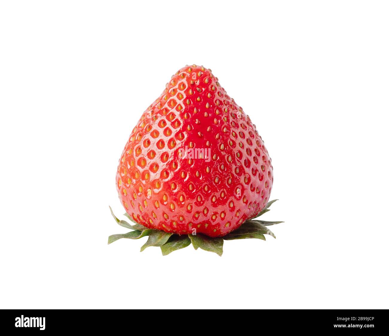 Freschezza matura una fragola isolata su sfondo bianco con tracciati di ritaglio. Le fragole sono un genere di rose, il risultato può essere mangiato. Foto Stock