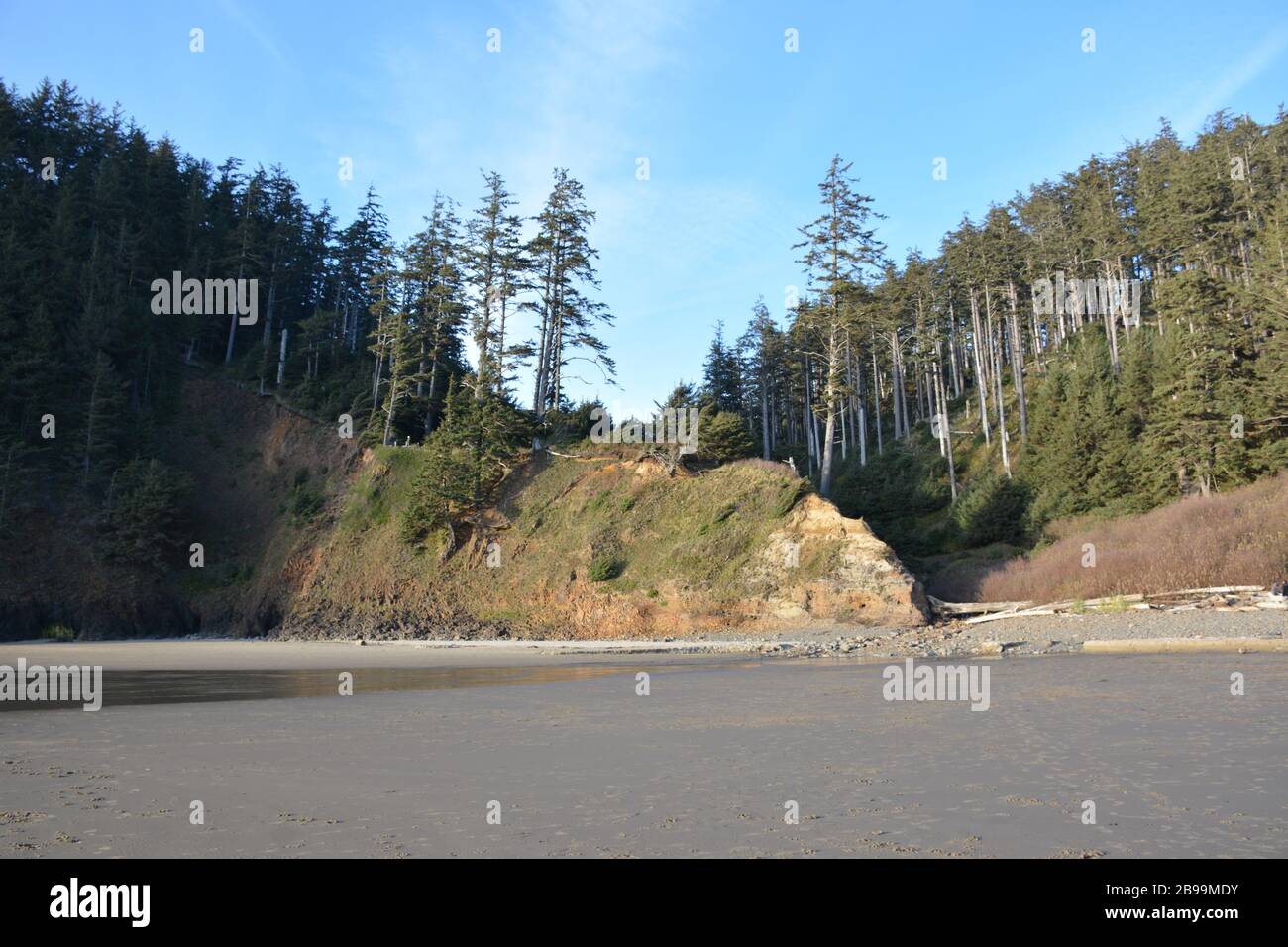 Il bordo di Tillamook Head a Indian Beach, Ecola state Park, Clatsop County, Oregon Coast, Stati Uniti Foto Stock
