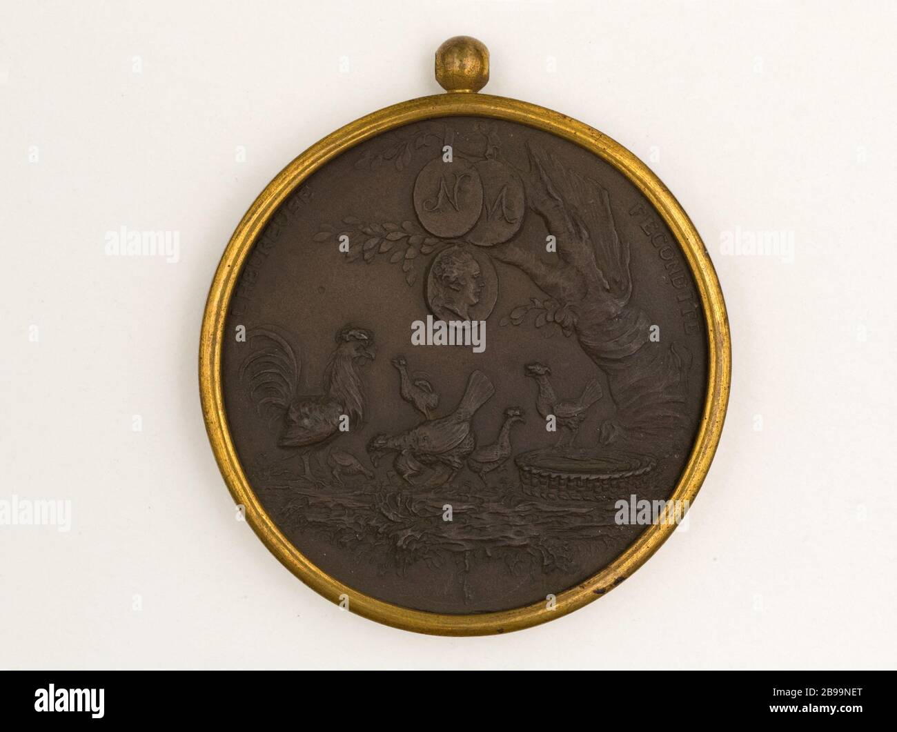 La buona fertilità Renaud Jean-Martin, dit Renaud de Sarreguemines (1746-1821). Médaillon : allégorie (coq, poules), monogrammi N, M, R.. L'heureuse fécondité. Terre cuite, de couleur marron cair mat, avec cerclage de métal. Parigi, musée Carnavalet. Foto Stock