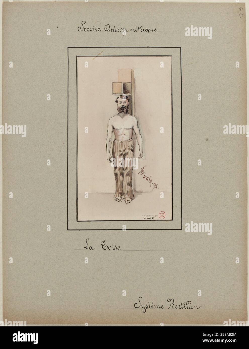 Servizi antropometrici; sistema Bertillon; asta di misura Foto Stock
