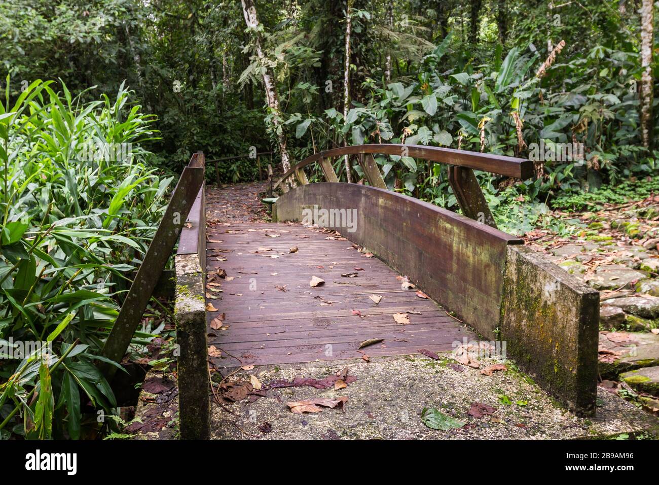 Vista attraverso un ponte di legno profondo nelle montagne di Cartago Costa Rica circondato da una ricca vegetazione Foto Stock