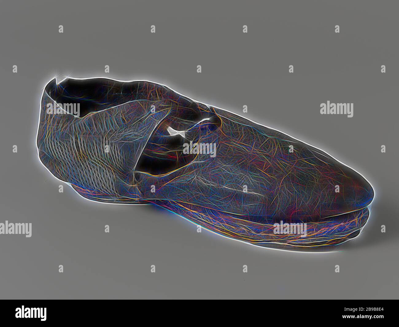 Cassone sinistro dimensione 35, busta cucita con fascetta di chiusura e decorata con incisioni verticali e diagonale fori ontano. Il quarto d'ora di pneumatici sono situati sotto il coperchio di chiusura della calzatura. La tomaia in pelle e il rinforzo del tallone sono fatte di pelle di capra e la busta è fatta di pelle di vitello. I fori di pizzo sono delimitate con filato in un non-professionale in modo. A 10 mm di spessore dello strato di sughero è stato posto tra la pelle di mucca sottopiede e suola sotto l'avampiede e un non aumento il riempimento legno sotto la zona del tallone, Nova Zembla, Behouden Huys Willem Barendsz, Jacob van Heemskerck, anonimo, c Foto Stock