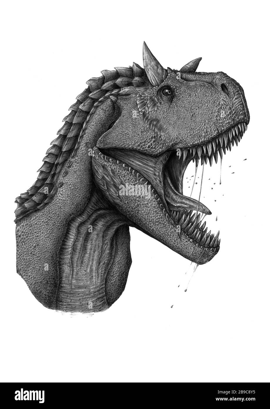 Carnotaurus dinosauro ritratto su sfondo bianco. Foto Stock