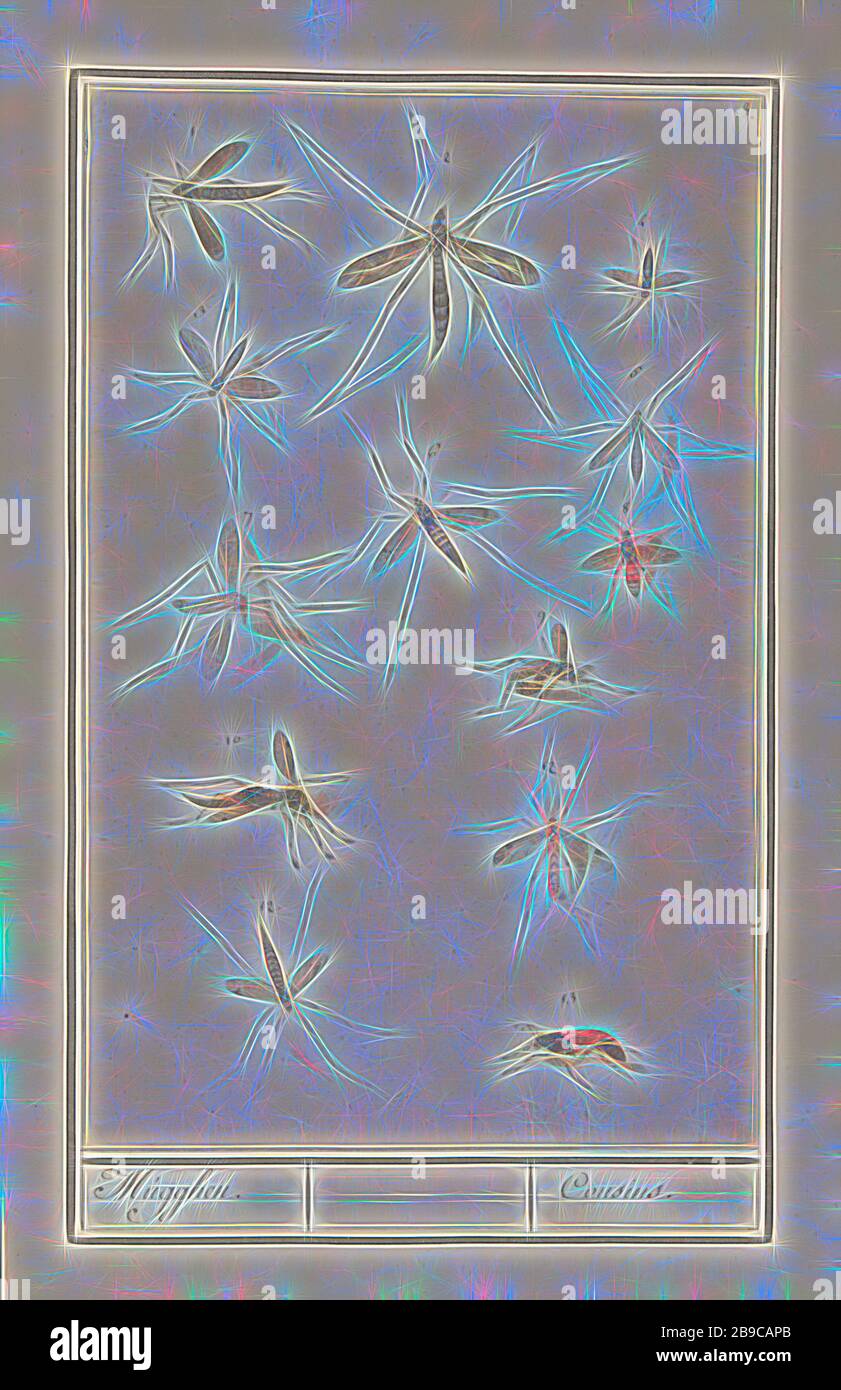 Foglia con tredici zanzare, Mugghen. / cugini. (Titolo su oggetto), foglia con dodici zanzare e gru volare e un insetto tipo vespa, numerati 1-13. Numerato in alto a destra: 3. Parte del sesto album con disegni di pesci, conchiglie e insetti. Sesto di dodici album con disegni di animali, uccelli e piante noti intorno al 1600, commissionato dall'imperatore Rudolf II Con spiegazioni in olandese, latino e francese, insetti: zanzara, insetti: wasp, insetti (GRU A MOSCA), Anselmus Boetius de Boodt, Praag, 1596 - 1610, carta, matita, gesso, acquerello (vernice), vernice coperta, inchiostro, penna, h 290 mm × w 186 mm, Reimag Foto Stock