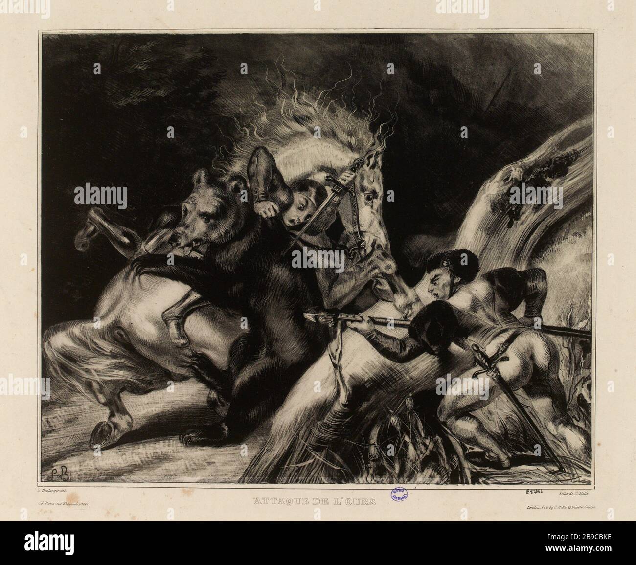 Attacco dell'orso. (IFF 13 pag.225) (come indicato) Foto Stock