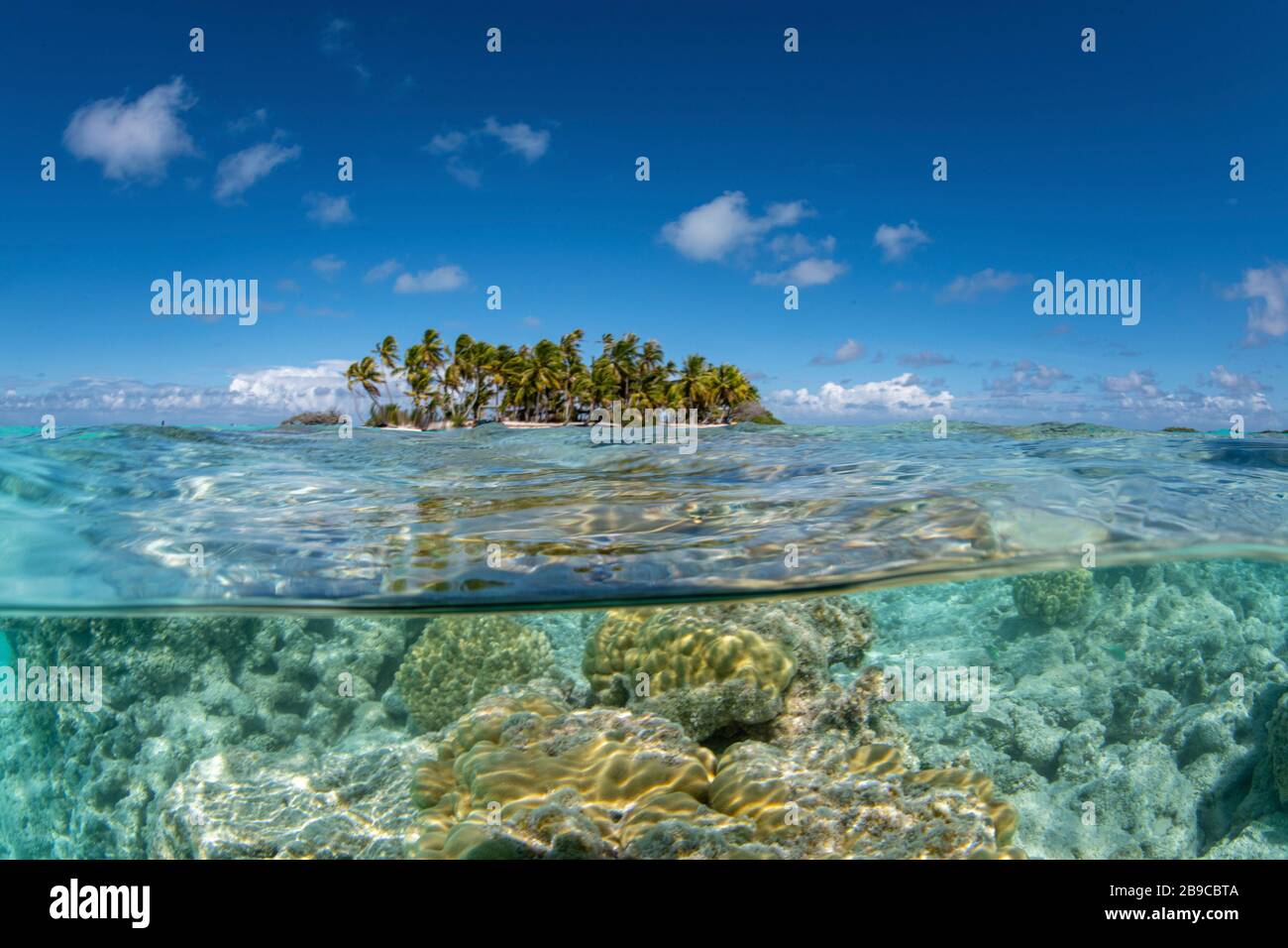 Una barriera corallina poco profonda vicino ad una piccola isola di Tahiti, Polinesia francese. Foto Stock