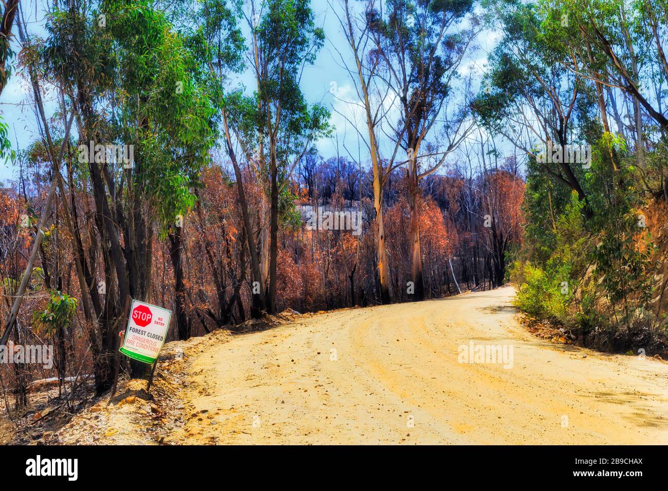 Strada chiusa in rovina incendi ha colpito le aree del parco nazionale delle Blue Mountains in Australia nelle calde giornate estive. Foto Stock