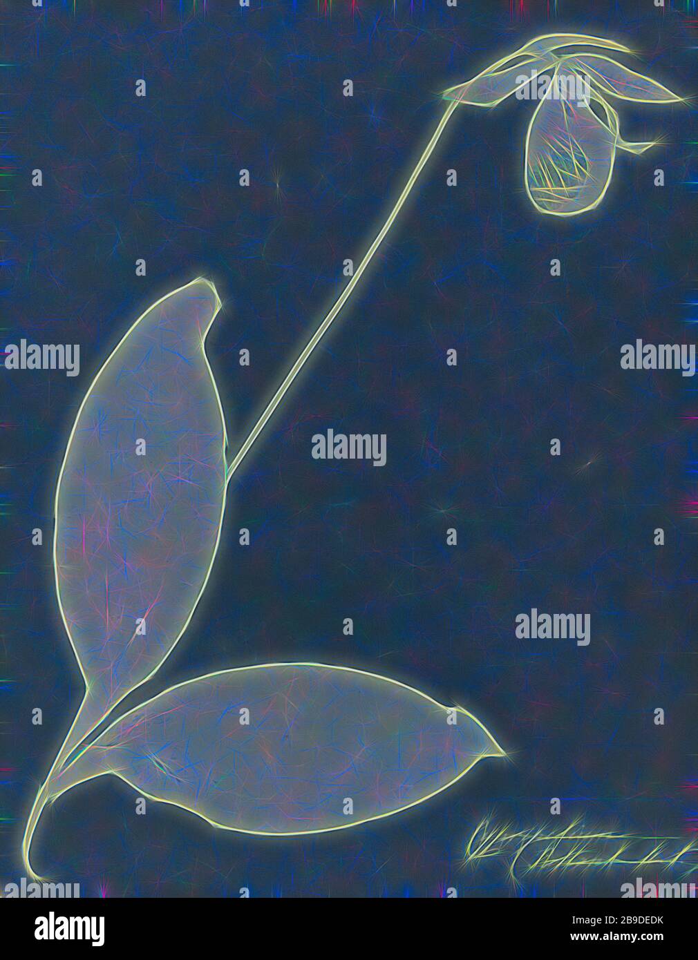 Cypripedium, Anna Atkins (British, 1799 - 1871), e Anne Dixon (British, 1799 - 1877), 1854, Cyanotype, 25,9 × 20,2 cm (10 3,16 × 7 15,16 in, Reimagined by Gibon, disegno di calore allegro di luminosità e raggi di luce radianza. Arte classica reinventata con un tocco moderno. La fotografia ispirata al futurismo, che abbraccia l'energia dinamica della tecnologia moderna, del movimento, della velocità e rivoluziona la cultura. Foto Stock