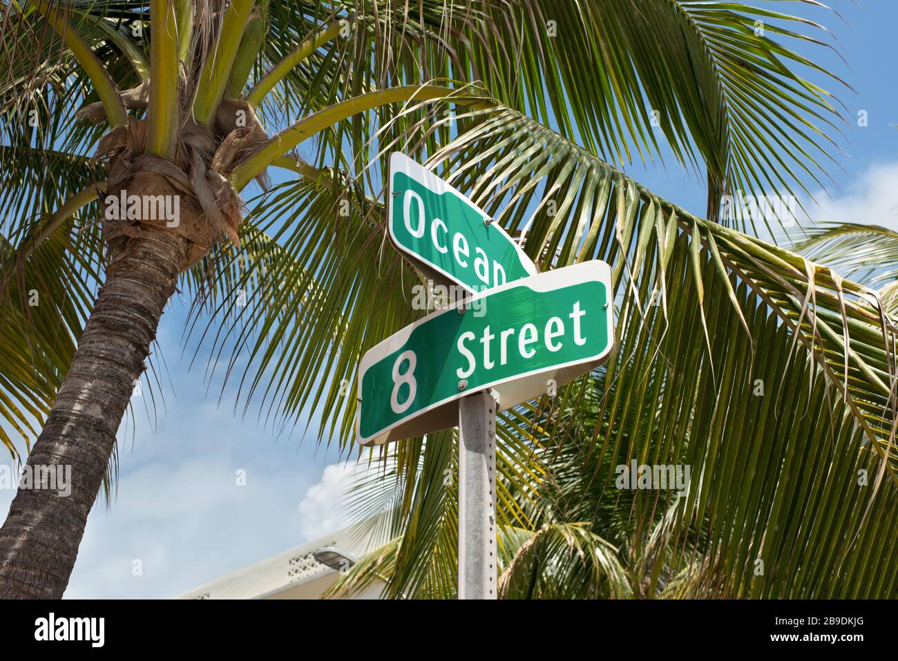 Cartello stradale della famosa strada Ocean Drive e 8 Street con palme nel quartiere Art Deco, Miami South Beach, Florida, USA Foto Stock