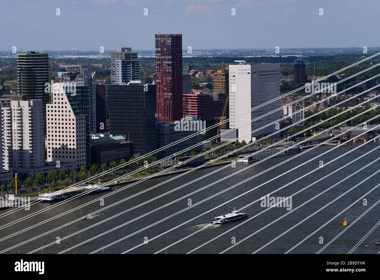 Panoramica di Rotterdam con in prima linea un primo piano di cavi della Erasmusbrug, guardando ad alti aumenti nel centro della città in una giornata estremamente limpida wi Foto Stock