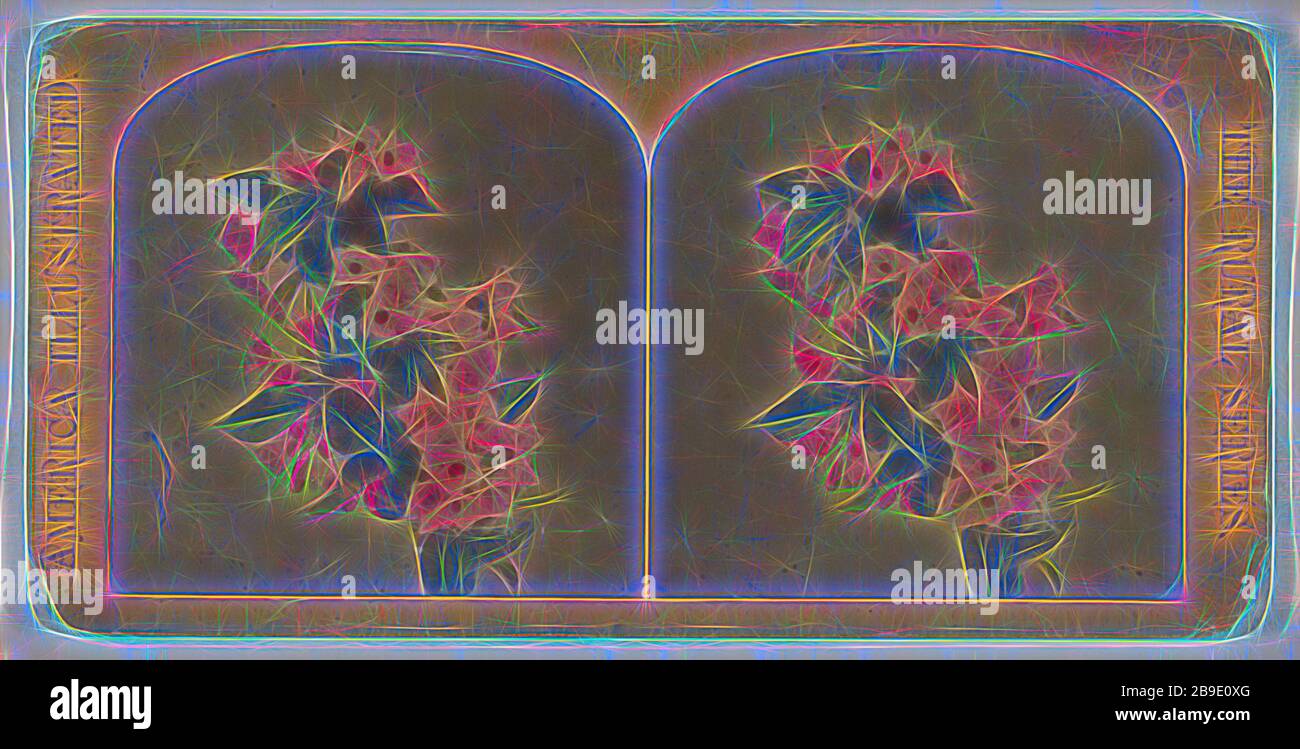 Fiori, americano, circa 1870 - 1880, stampa d'argento albume color mano Foto Stock