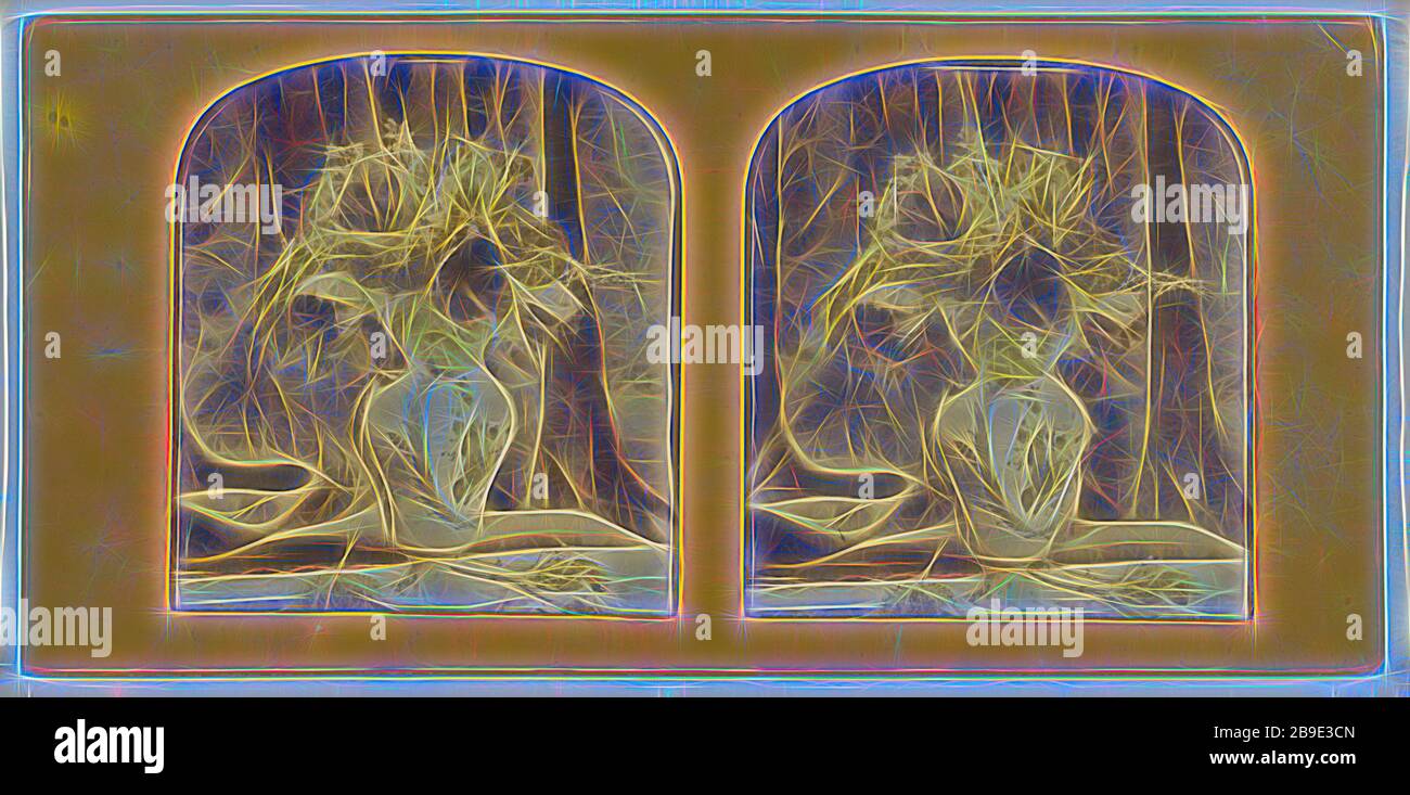 Bouquet di fiori naturali, circa 1865, stampa color argento albume a mano Foto Stock