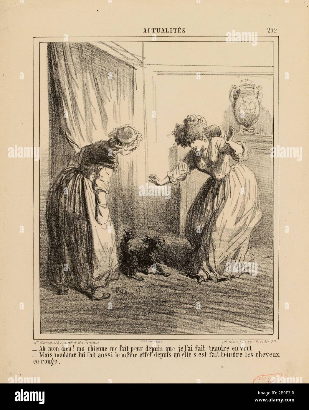 OH mio dio! il mio cane ​​scares me [...] signora gli fa anche lo stesso effetto poiché è stato tinto capelli rossi (come registrato) |.. Notizie (sotto tutti) Foto Stock