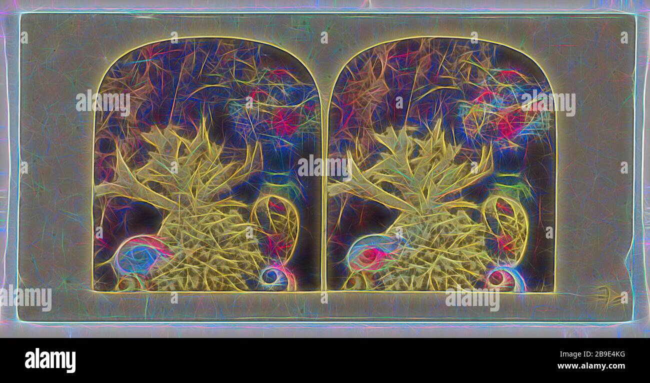 Corallo e conchiglie, circa 1865, stampa color argento albume mano Foto Stock