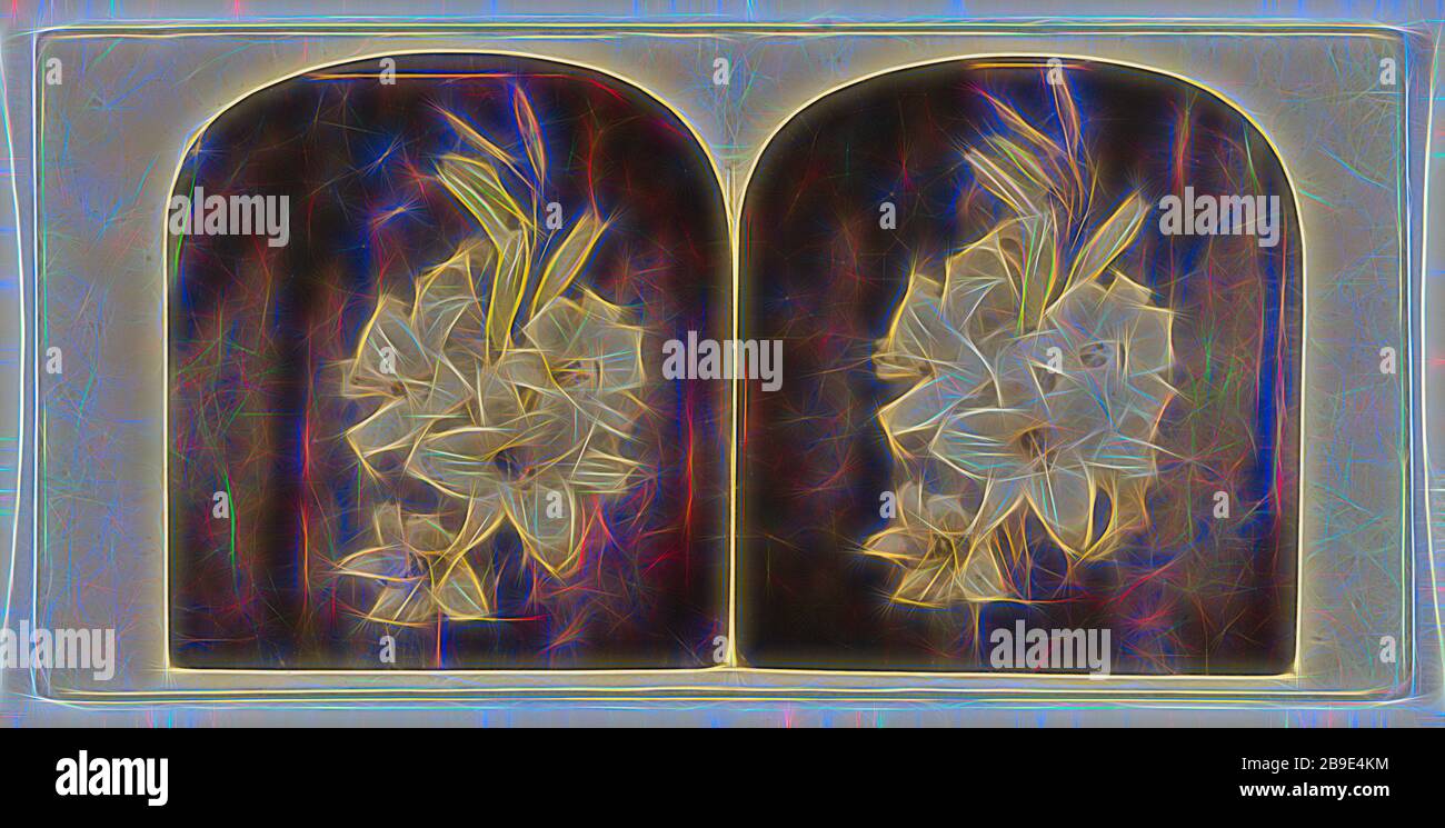 Gigli, circa 1865, stampa d'argento albume color mano Foto Stock