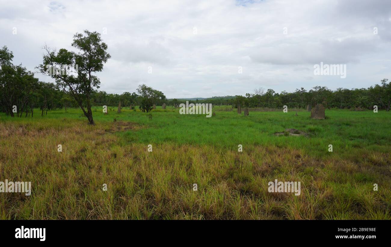 Una giornata nuvolosa nel litchfield nationalpark nei territori settentrionali dell'australia Foto Stock