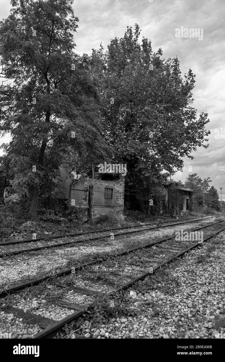 Linee ferroviarie abbandonate nel Porto Vecchio di Trieste, Friuli-Venezia-Giulia, Italia: Versione in bianco e nero Foto Stock