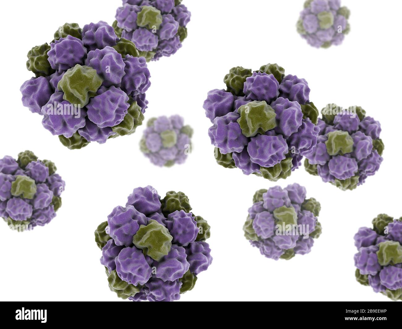 Immagine concettuale del norovirus. Foto Stock