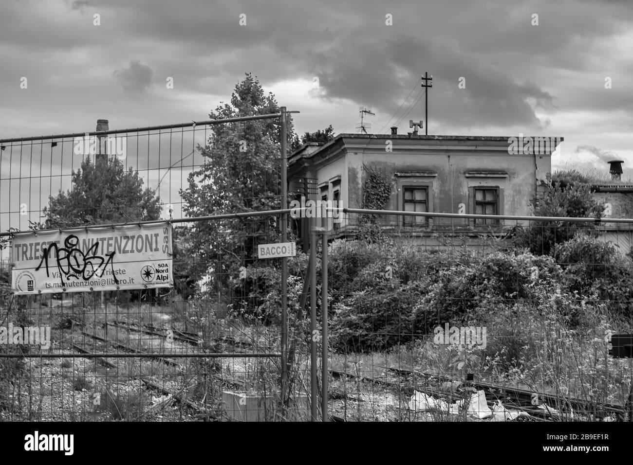 Edifici abbandonati nel Porto Vecchio di Trieste, Friuli-Venezia Giulia, Italia: Versione in bianco e nero Foto Stock