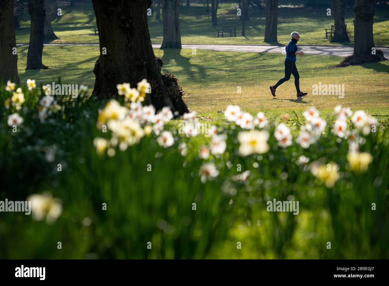Un jogger al Cannon Hill Park di Birmingham questa mattina, il giorno dopo che il primo ministro Boris Johnson ha messo il Regno Unito in un blocco per contribuire a frenare la diffusione del coronavirus. Foto Stock