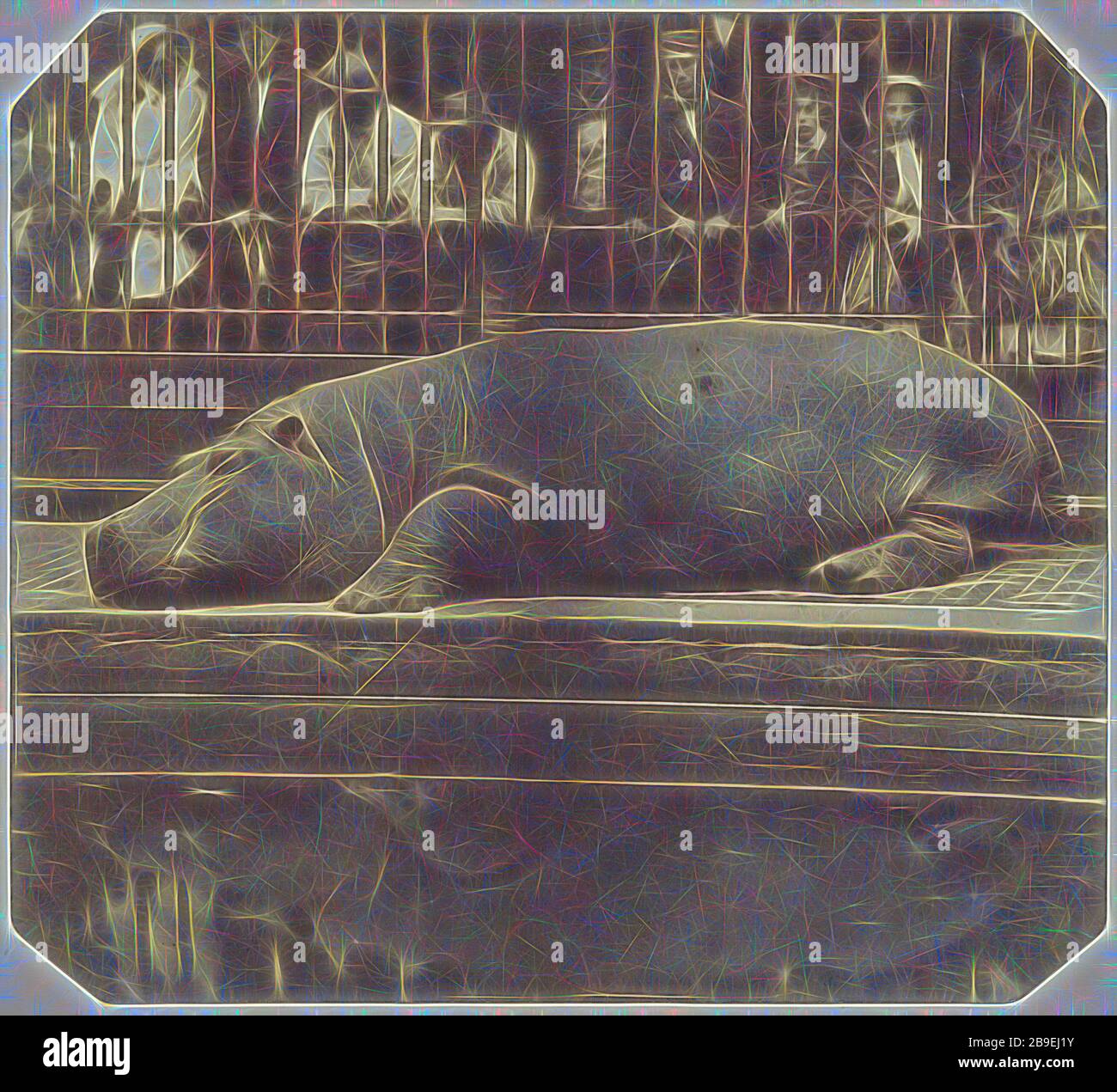 L'Hippopotamus ai giardini zoologici, Regent's Park, Count de Montizon (spagnolo, 1822 - 1887), 1852, carta salata stampata da un collodio umido negativo, 11,4 x 12,5 cm (4 1,2 x 4 15,16 pollici, reimmaginata da Gibon, disegno di calore allegro di luminosità e raggi di luce radianza. Arte classica reinventata con un tocco moderno. La fotografia ispirata al futurismo, che abbraccia l'energia dinamica della tecnologia moderna, del movimento, della velocità e rivoluziona la cultura. Foto Stock