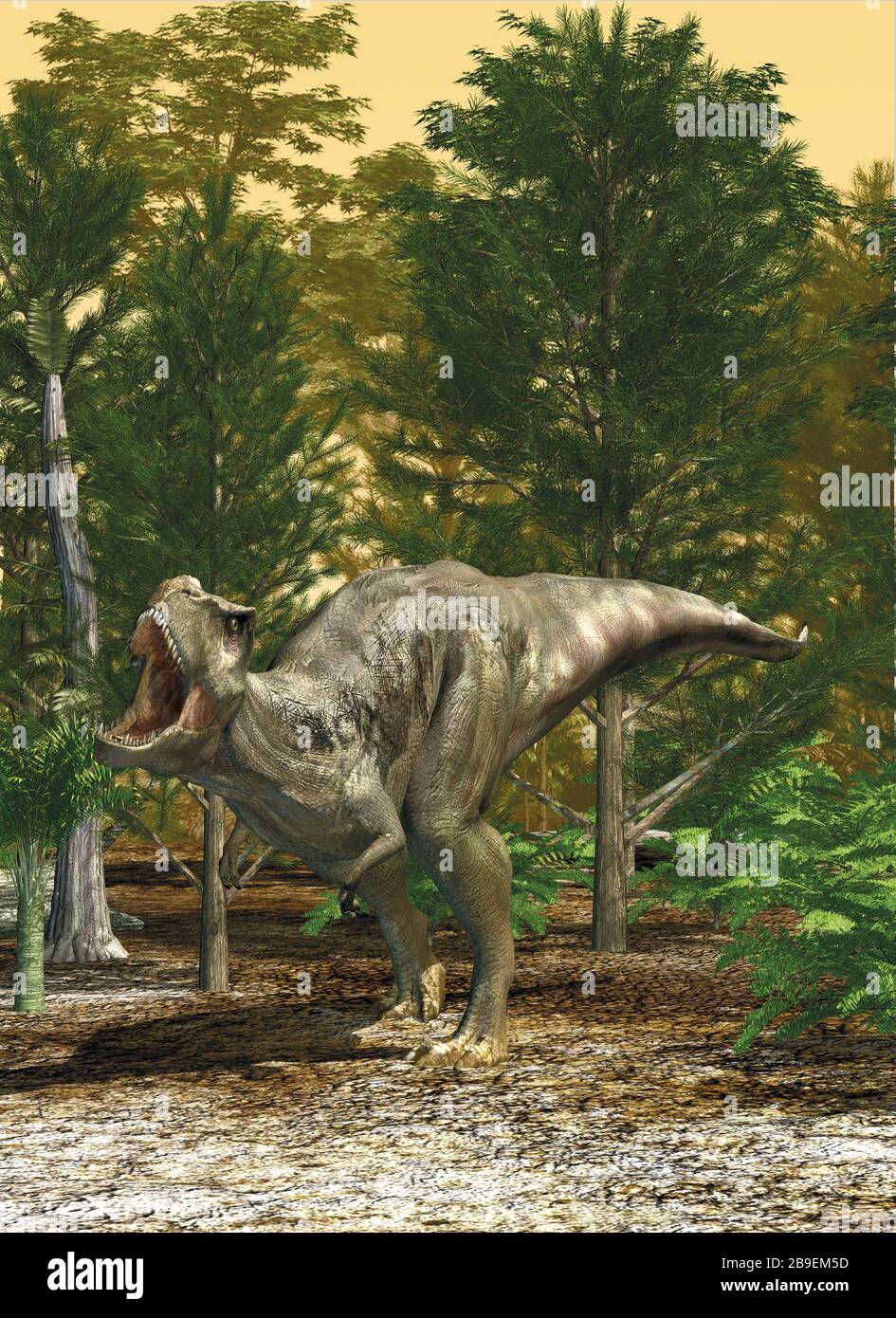 Illustrazione 3D di un dinosauro T-rex che ruggiva in una foresta di conifere. Foto Stock