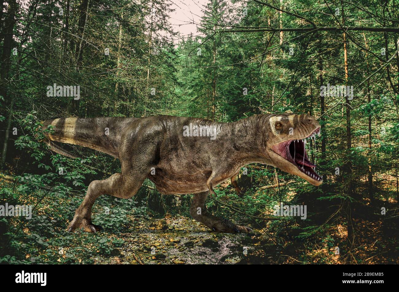Illustrazione 3D di un dinosauro T-rex che ruggiva in una foresta di conifere. Foto Stock