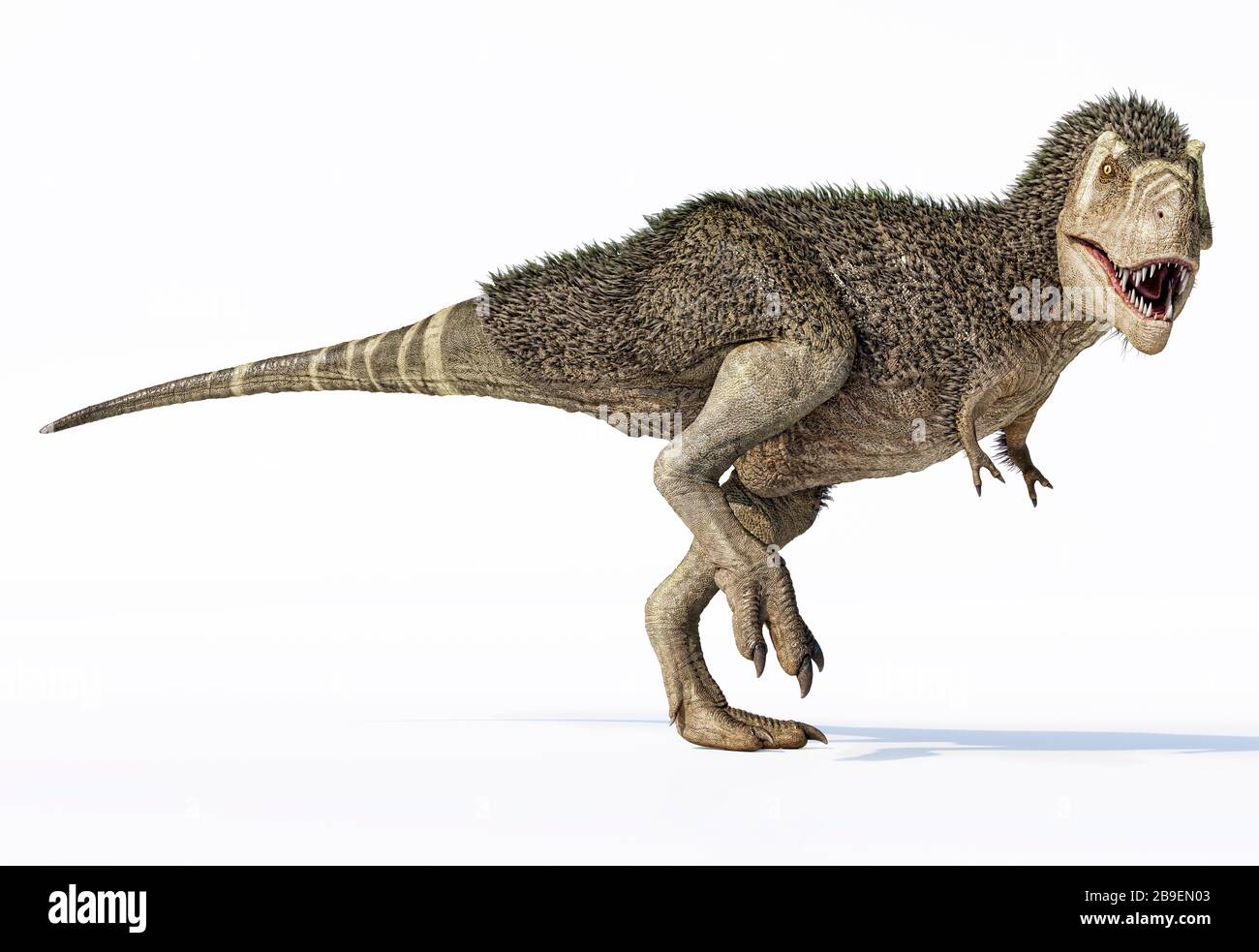 Illustrazione 3D di un dinosauro T-rex con piume. Foto Stock