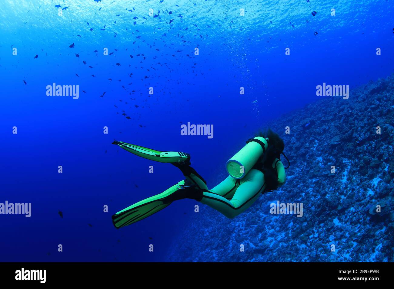Il subacqueo femminile esplora la barriera corallina subacquea nelle Maldive Foto Stock