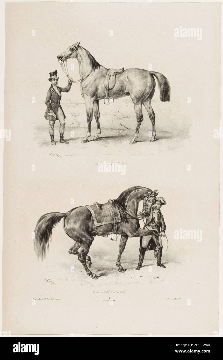 Cavallo imbrigliato all'inglese / cavallo imbrigliato al francese Jean-Victor Adam, il dit Victor Adam (1801-1866). 'Suite de voitures modernes et de chevaux harnachés (pl. 6)'. Cheval harnaché à l'Anglaise/ cheval harnaché à la Française. Lithographie. Parigi, musée Carnavalet. Foto Stock