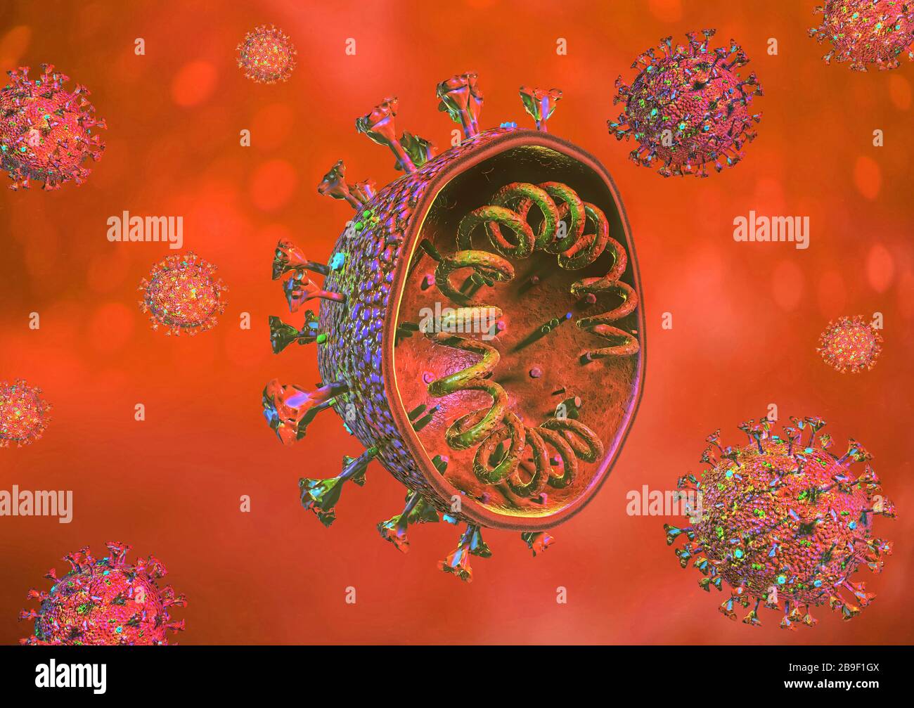 Sezione trasversale del coronavirus COVID-19 su sfondo colorato. Foto Stock