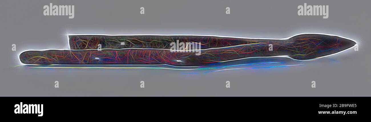 Punta di diamante, probabilmente dal lancio di Lancia Lancia Lancia arma terreno di trovare la parte metallica in ferro, Punto di gettare lancia con lama affilata punta e ampia langlets o molle di albero di archeologia lancia arma alabarda lancia gettando spies militaria Foto Stock