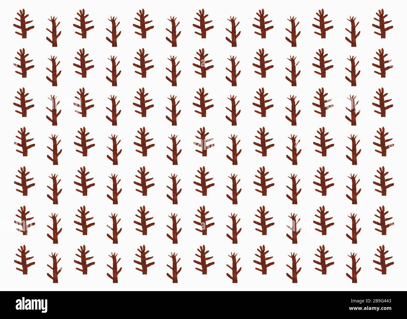 Childs disegno di alberi di segatura Foto Stock