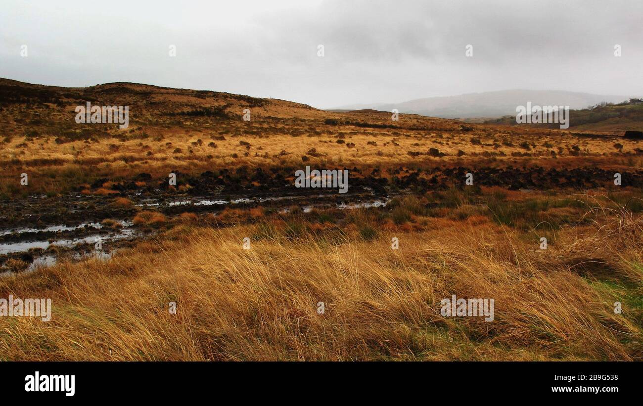 campi di boggy in montagna, file di staks di erba sintetica, Connemara, Galway, Irlanda Foto Stock