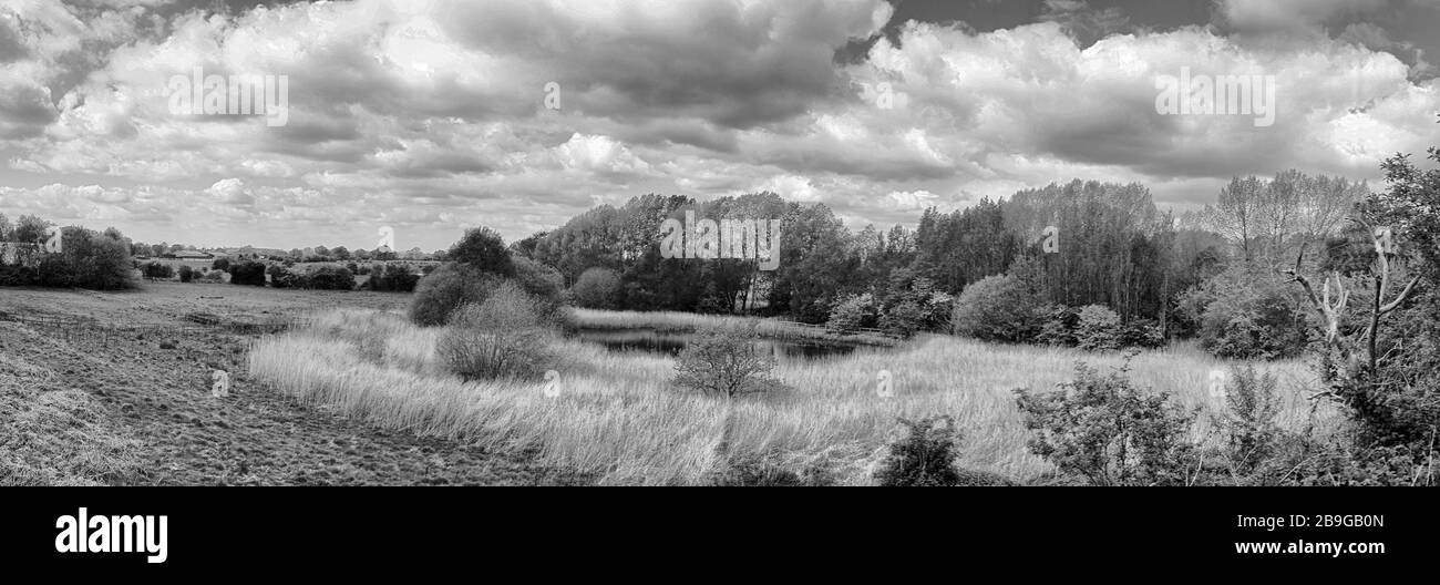 Panorama in bianco e nero di Cheshire rurale a Elworth vicino Sandbach Regno Unito Foto Stock