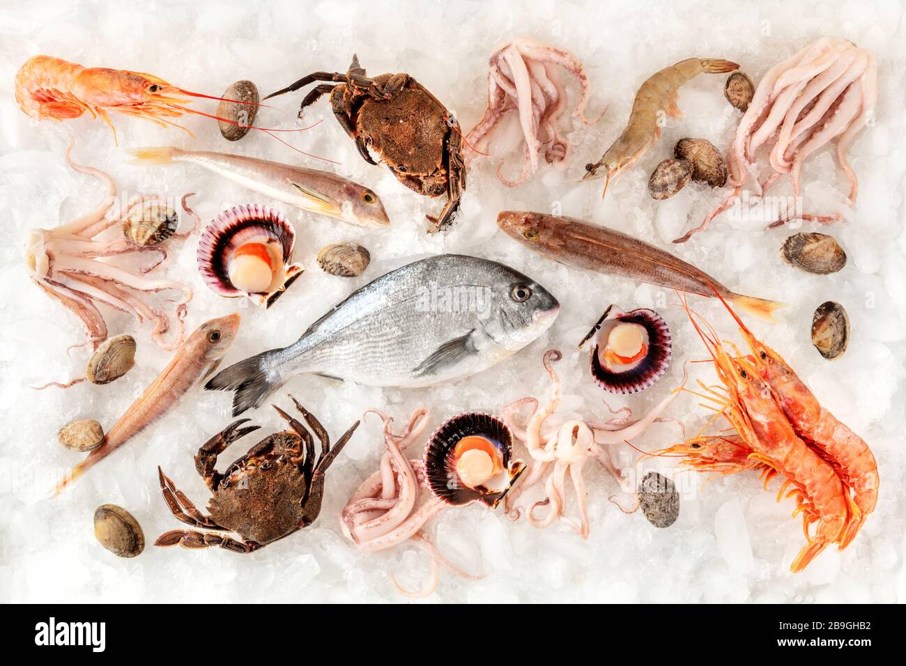 Varietà di pesce e frutti di mare, girato dall'alto su sfondo bianco, su ghiaccio Foto Stock