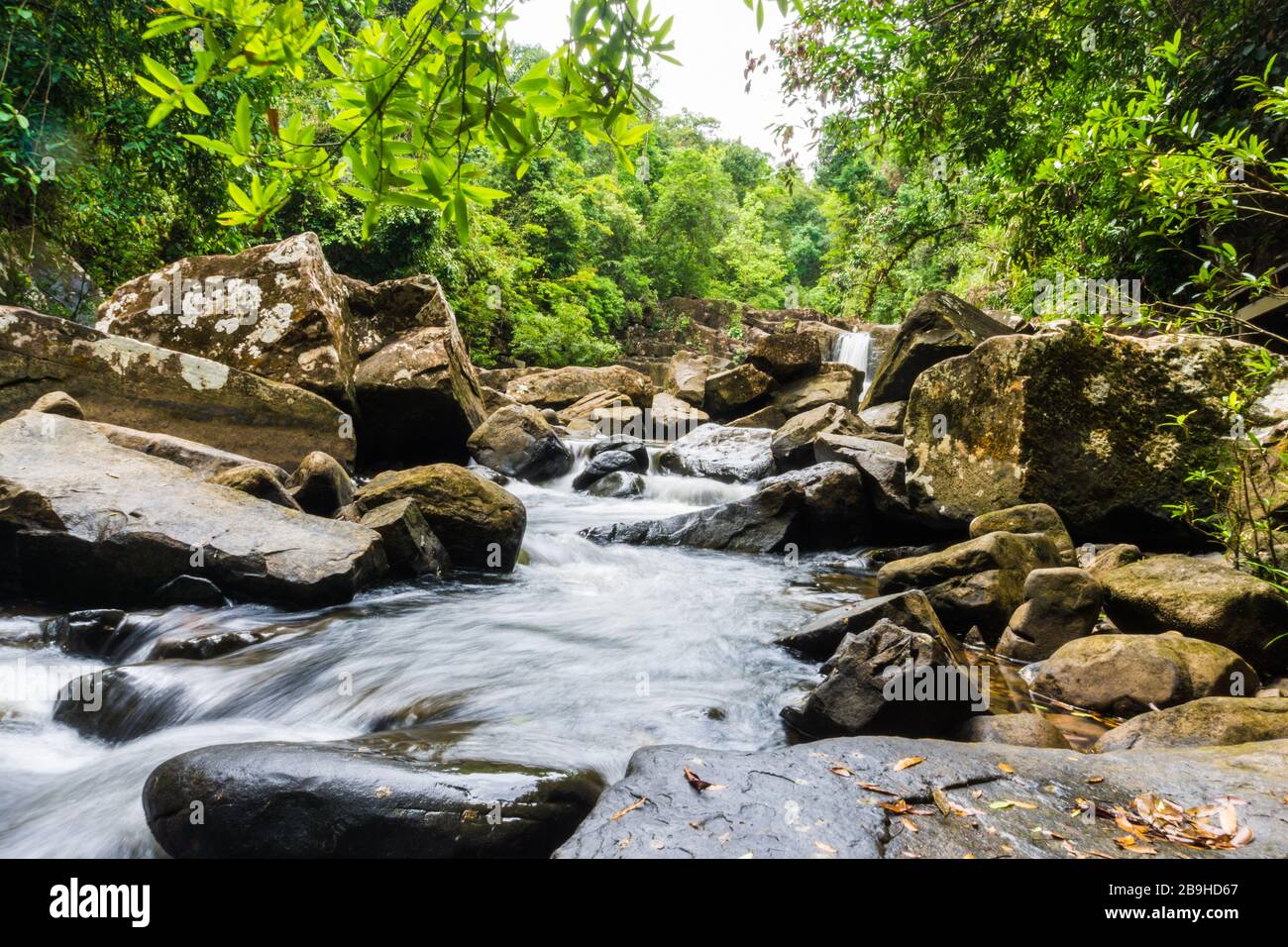 Cascate di Klong Yai Kee nella foresta pluviale tropicale nell'isola di Koh Kood, Thailandia Foto Stock