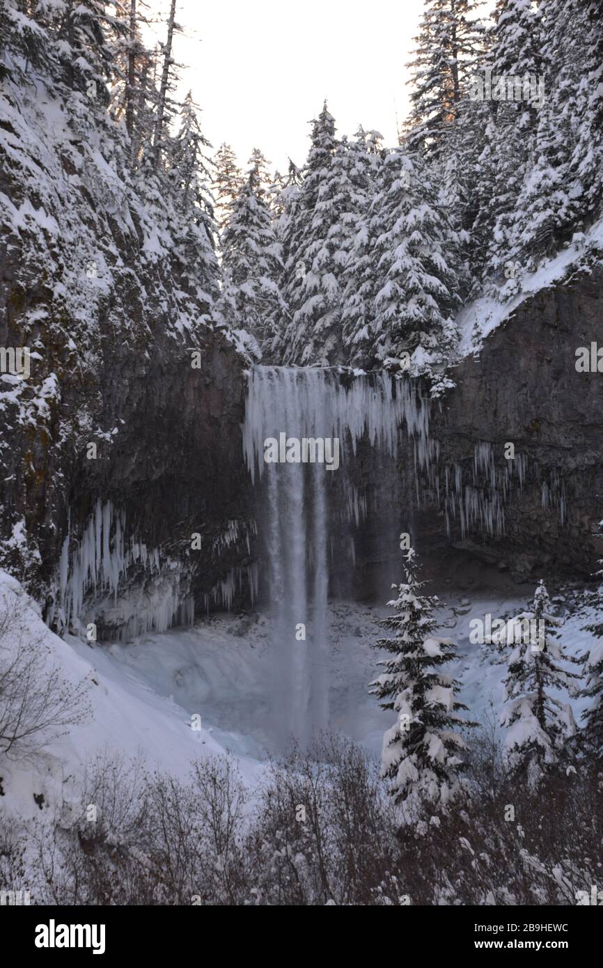 Le cascate di Tamawanas, dove Cold Spring Creek scorre su una scogliera di lava di 110 metri sul versante orientale inferiore del monte Hood, sono parzialmente congelate in inverno. Foto Stock