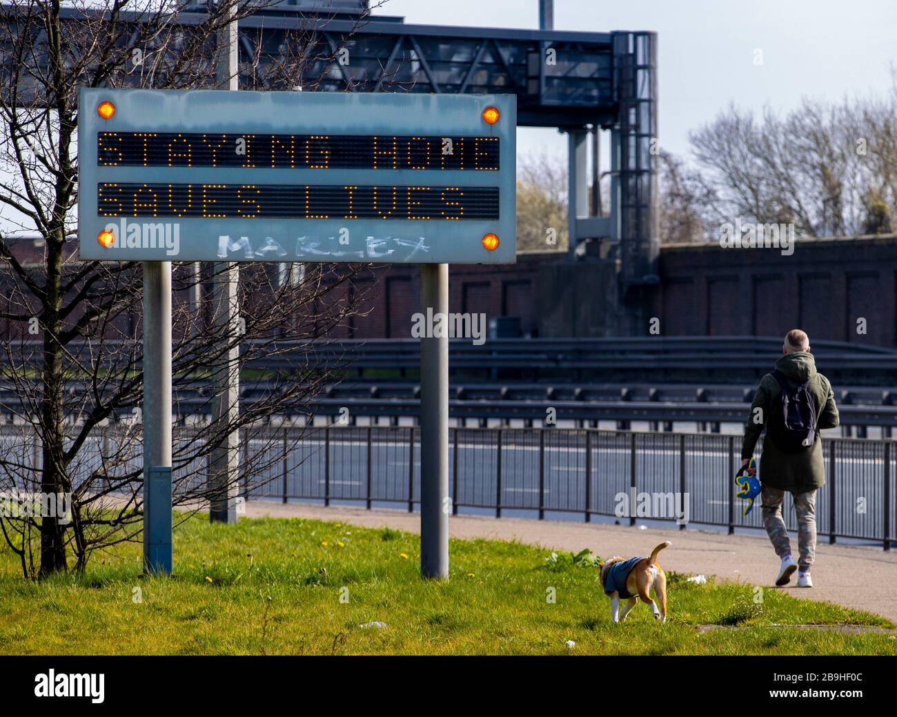Un uomo cammina il suo cane a Belfast passa un cartello autostradale, ÒStaying casa salva vite.Õ. Foto Stock