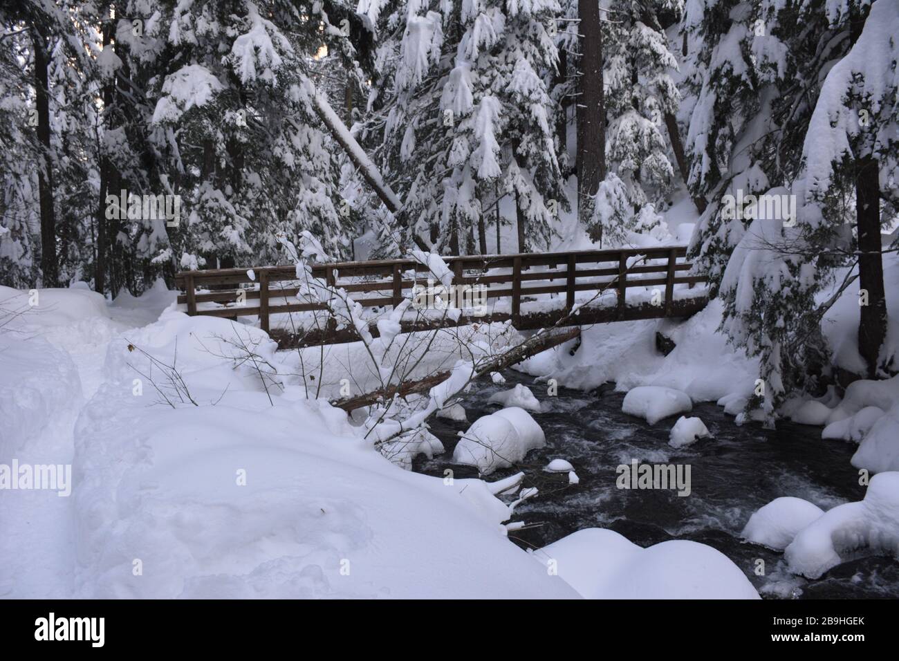 Un ponte pedonale attraverso Cold Spring Creek in un'escursione invernale alle cascate Tamawanas, vicino a Mount Hood, Oregon, all'inizio dell'inverno. Foto Stock