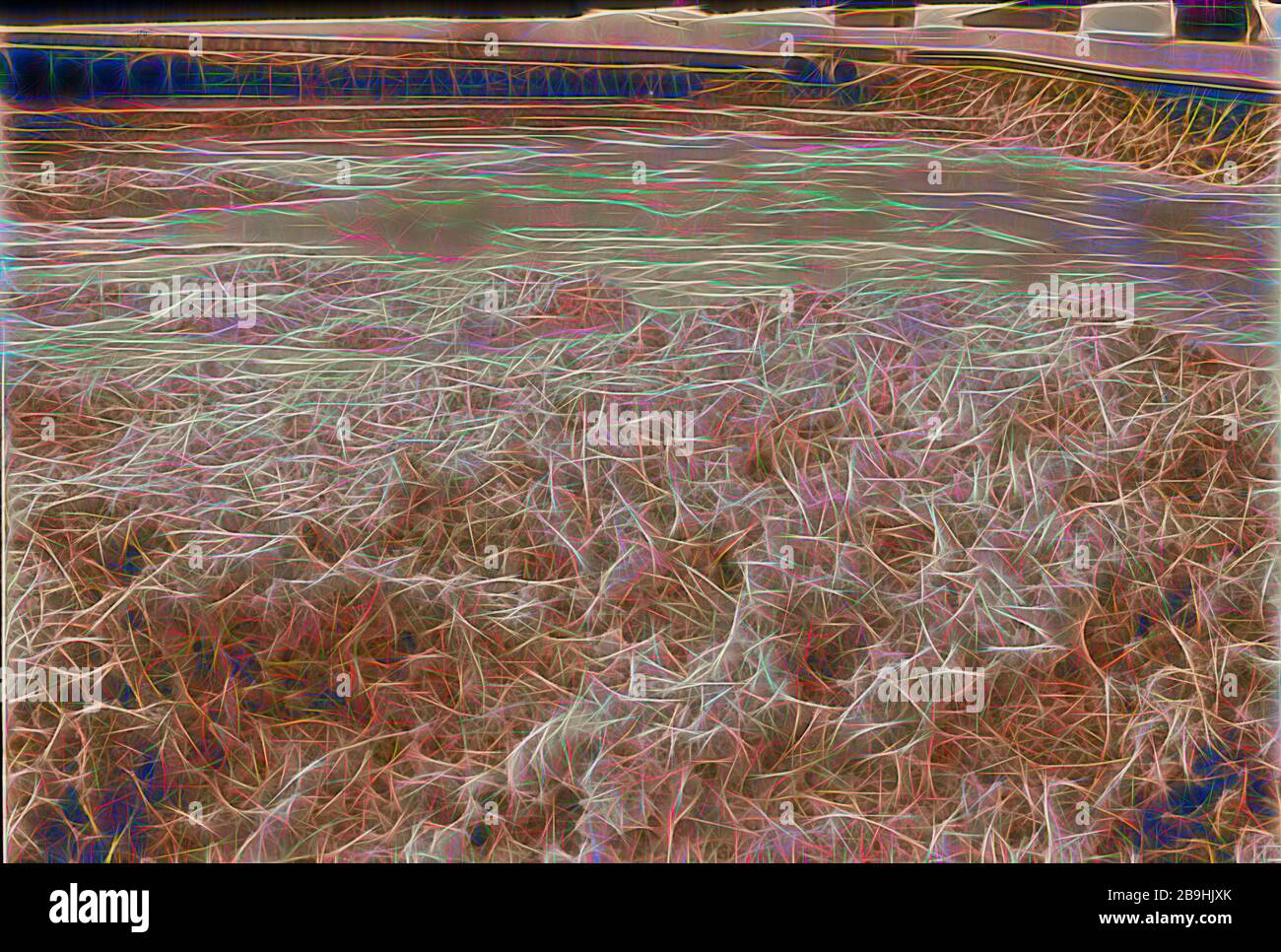 Mar Morto album preparato per la Palestina Potash Ltd Un effetto per la carnallite di foresta pietrificata, suggestivo di intricate sculture di avorio trovati in carnallite stalattiti. 1934, Israele, Sedom Foto Stock