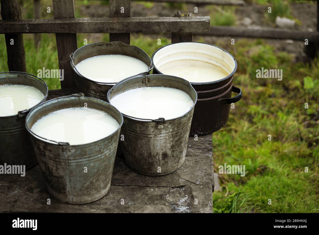 Siero di latte in secchi lasciato dopo aver fatto il formaggio biologico fatto in casa in montagna carpazi Foto Stock