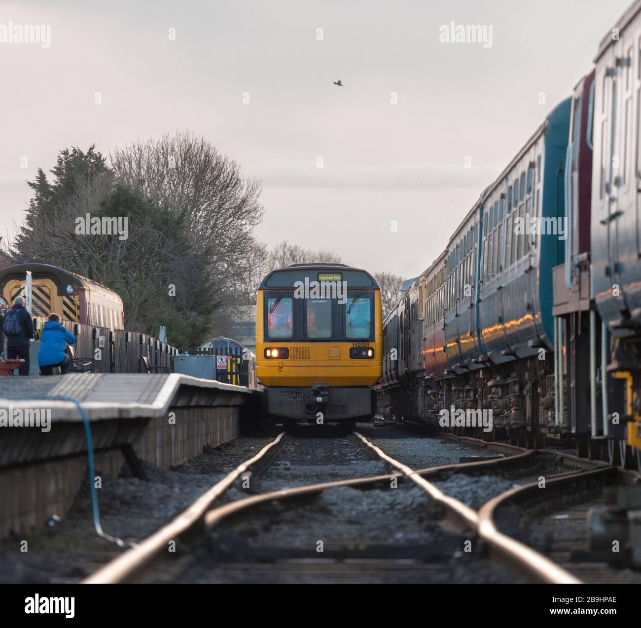 Ex treno Northern classe 142 pacer treni 142028 + 142060 arrivare Leeming Bar, Wensleydale ferrovia dopo il loro primo giorno di funzionamento in conservazione Foto Stock