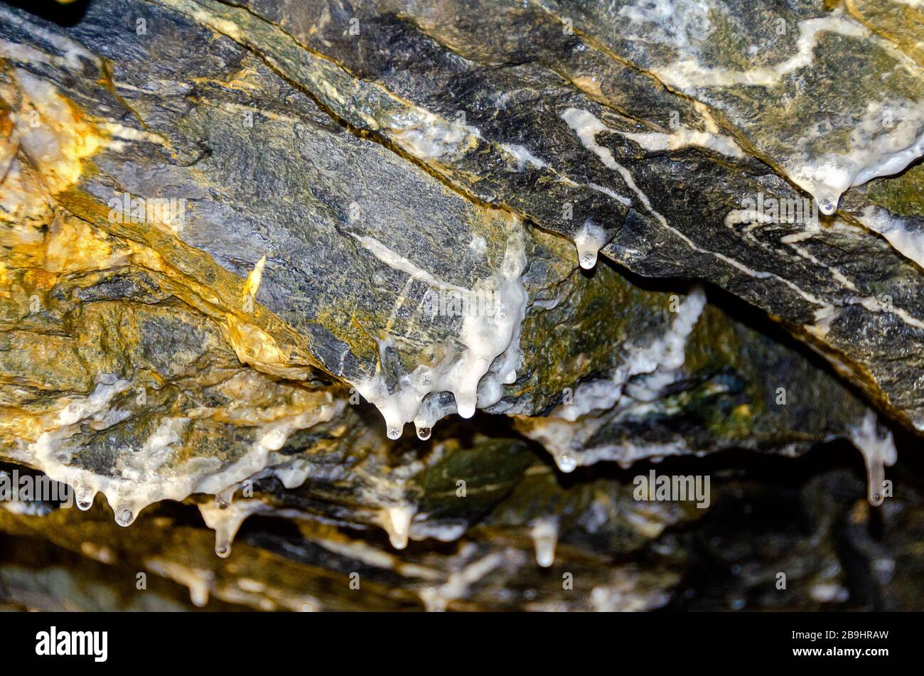 Piccole stalattiti con gocce d'acqua sul soffitto di un'ex miniera d'argento, l'Austria Foto Stock
