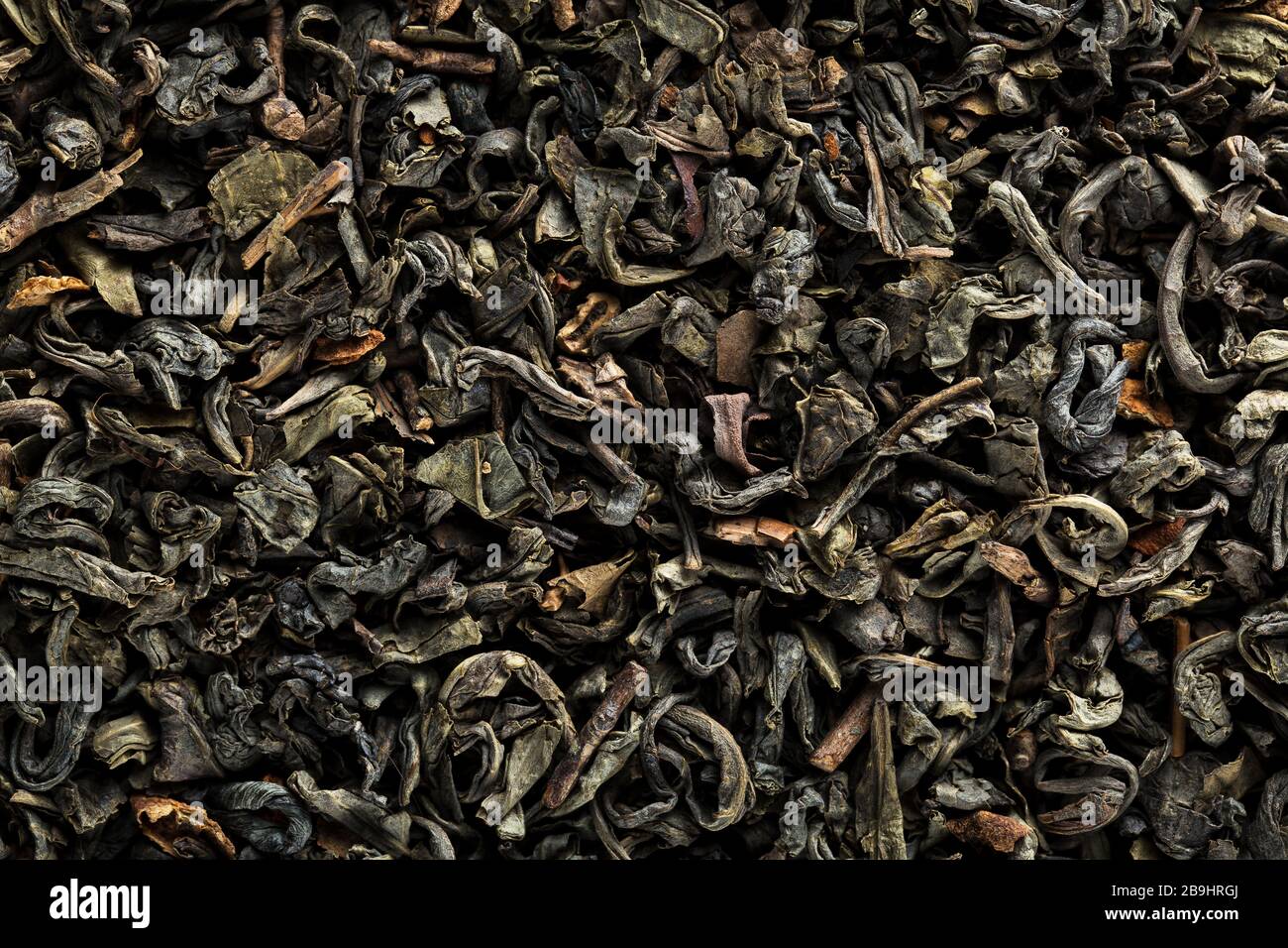 Tè verde cinese foglie primo piano macro. Strisce di tè verdi arrotolate Foto Stock