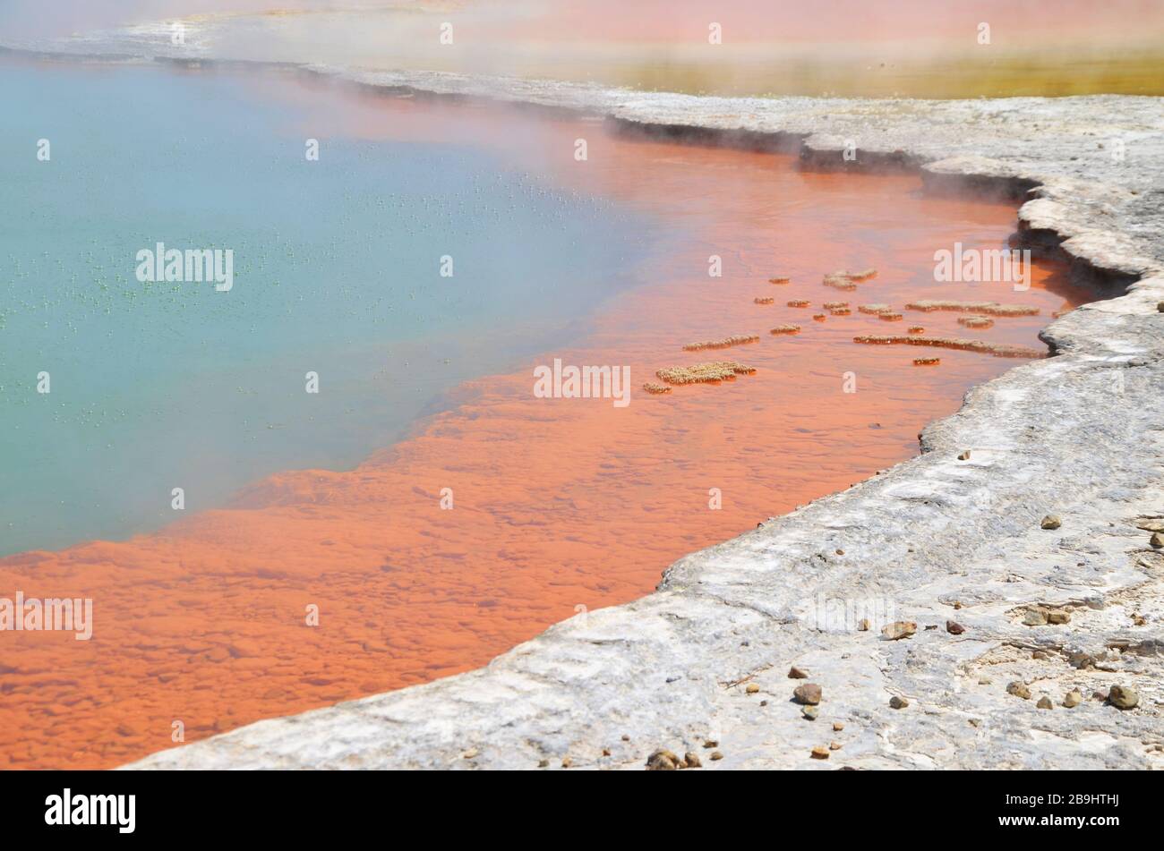 Vista ravvicinata sul bordo colorato della piscina di Campagne Wio-o-Tapu Nuova Zelanda Foto Stock