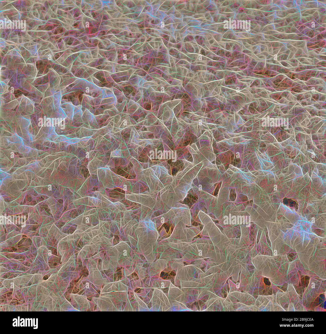 Mar Morto album preparato per la Palestina Potash Ltd Un effetto per la carnallite di foresta pietrificata, suggestivo di intricate sculture di avorio trovati in carnallite stalattiti. 1934 Foto Stock