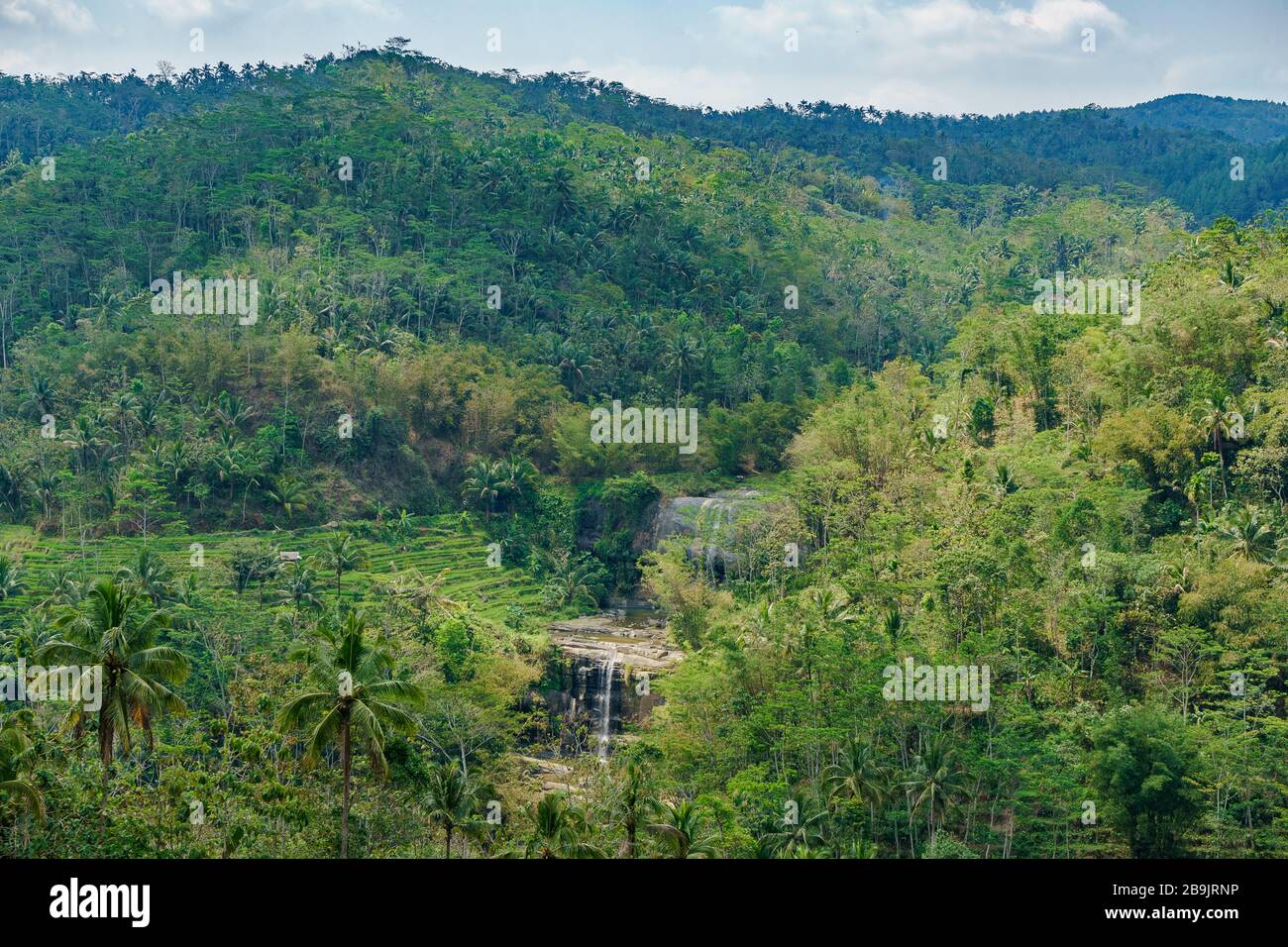 Curug Nangga grande cascata cascata profonda nella lussureggiante foresta tropicale di Java centrale, vicino alla montagna Slamet Foto Stock
