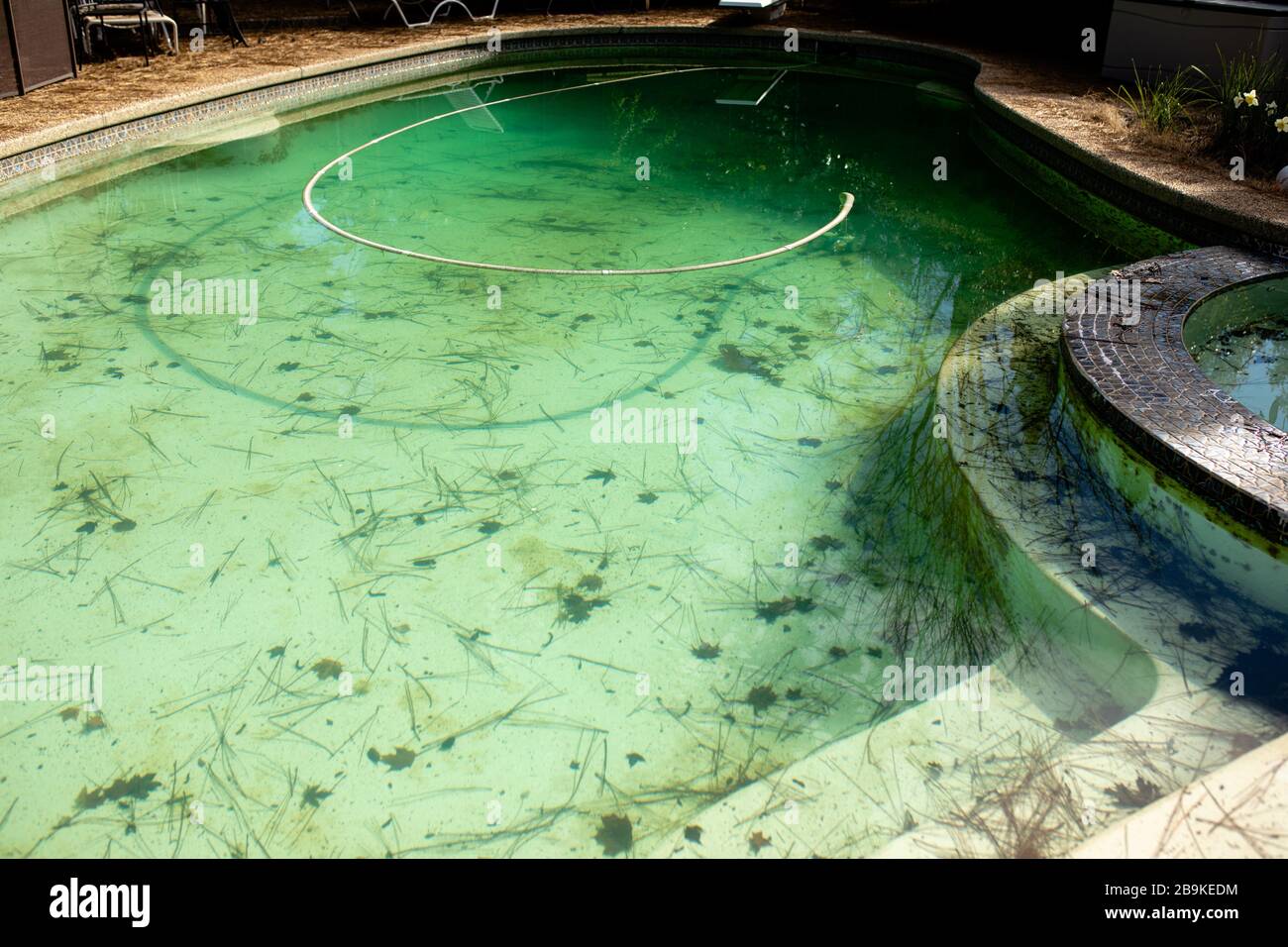 Piscina con acqua verde con alghe che necessitano di servizio Foto Stock